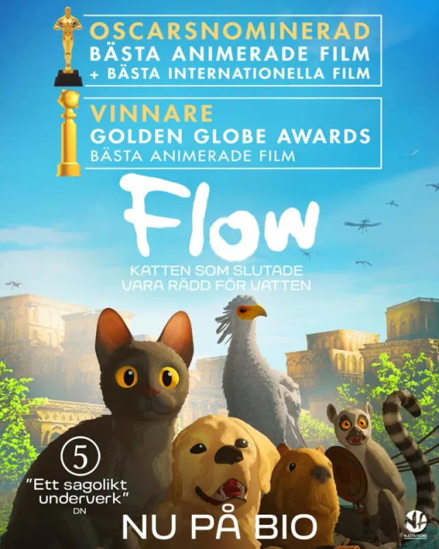 Flow - Katten som slutade vara rädd för vatten