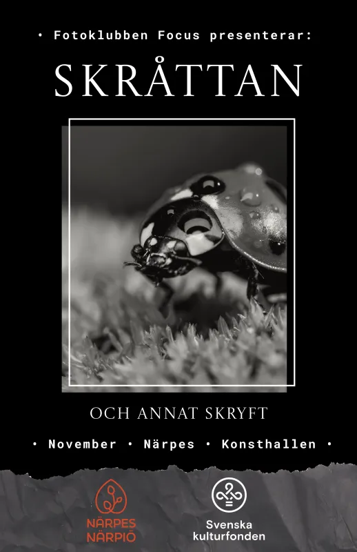 Plansch