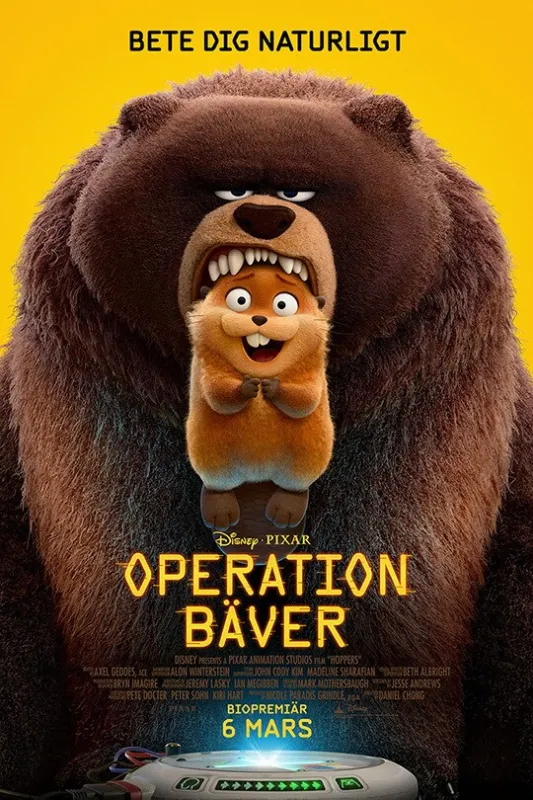 Operation Bäver